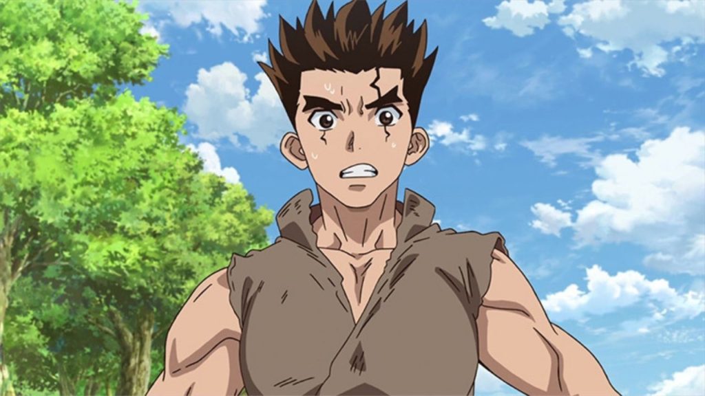 Dr. Stone