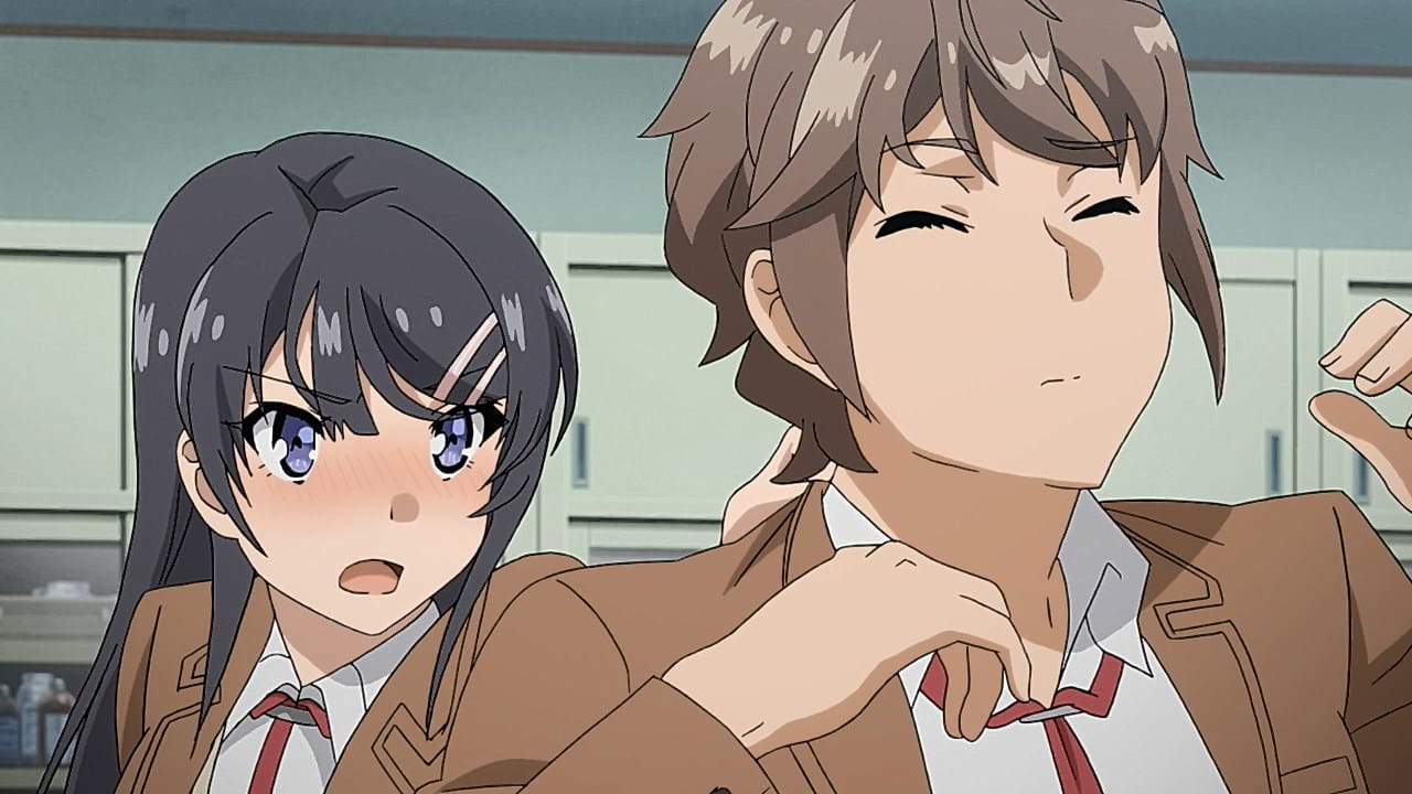 Seishun Buta Yarou Wa Yumemiru Shoujo No Yume Wo Minai: Sinopsis ...